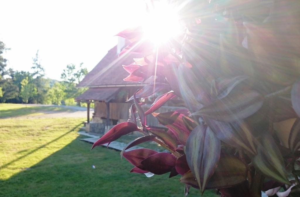 Rustic Home Mia Duga Resa Phòng bức ảnh